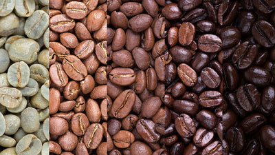 Coffee Roasts – Everything You Need to Know